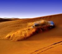 Desert Safari